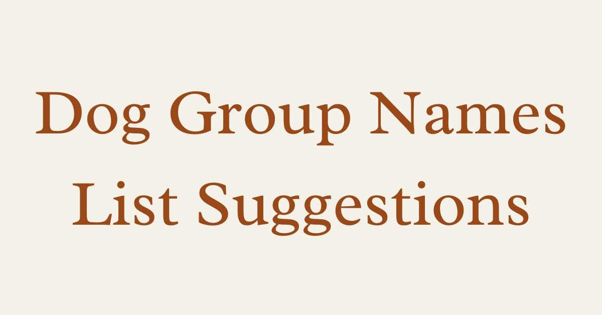 Dog Group Names List Suggestions