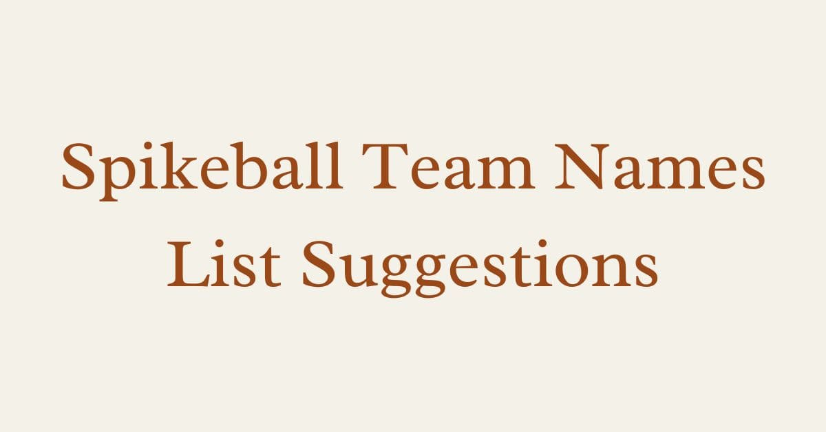 Spikeball Team Names List Suggestions